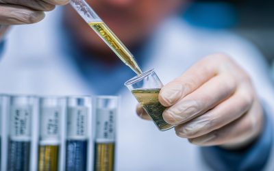 Journée mondiale de l’environnement : la CN alerte sur le cadmium